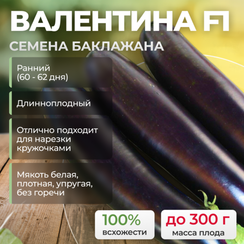 ВАЛЕНТИНА F1 семена баклажана (Seminis | Alexagro)
