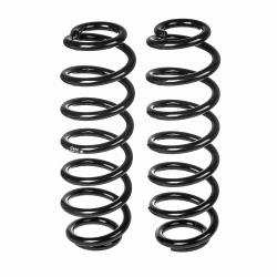 Пружины GANZ задние CHERY T19 (комплект 2 шт.) Арт.: GIK02605