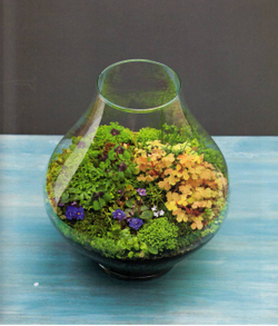 The Plant Recipe Book: 100 Living Arrangements for Any Home in Any Season