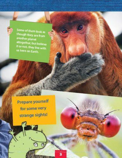 Weird Animals. Уровень 5. Книга для чтения с доступом к электронному приложению