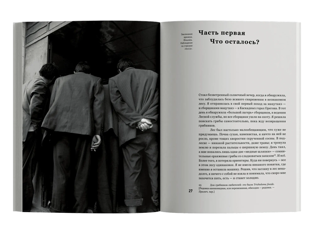 Гриб на краю света