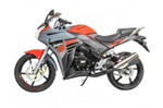 RC 300CS SKAWAY ДОРОЖНЫЙ