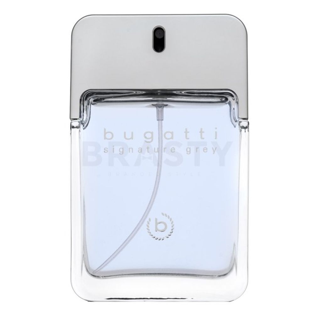 Bugatti Signature Grey EDT M 100 ml