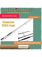 Спиннинг BLACK WITCH JIG 22ML 2,2m 6-21g