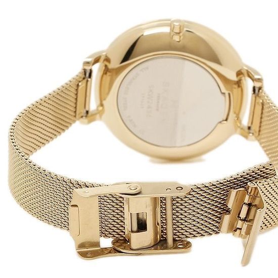 Женские часы Skagen SKW2436