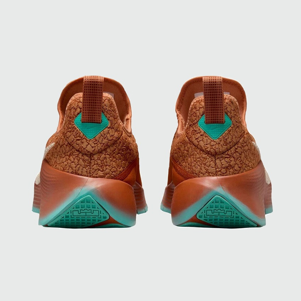 кроссовки Nike LeBron TR 1 Better With Age FJ6151-200