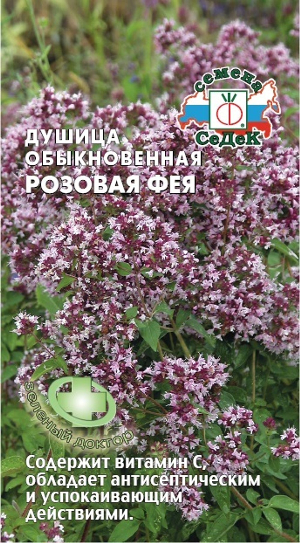 Душица обыкновенная Розовая Фея