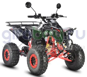 Электроквадроцикл WHITE SIBERIA SNEG PRO R 3000W фото фото №2