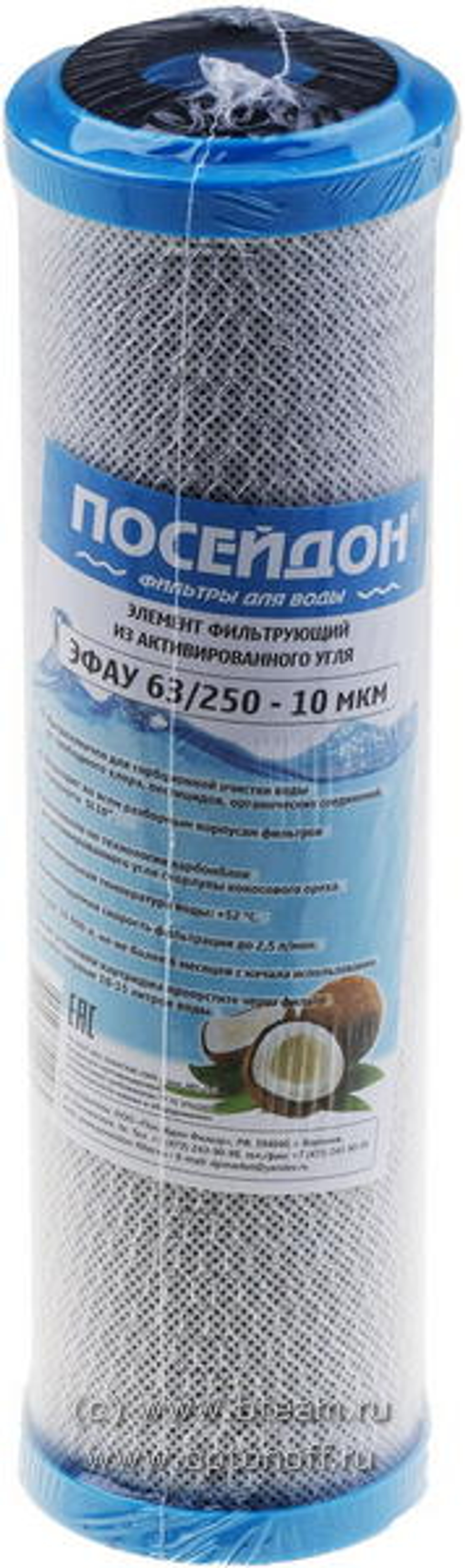 Картридж Посейдон ЭФАУ 63/250-10 (уголь) SL10