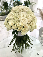 141 Белая Роза