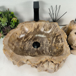 Раковина из окаменелого дерева OD-64564 46*42*16 0176