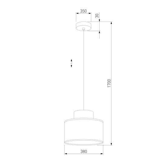 3256 / подвесной светильник / Duo