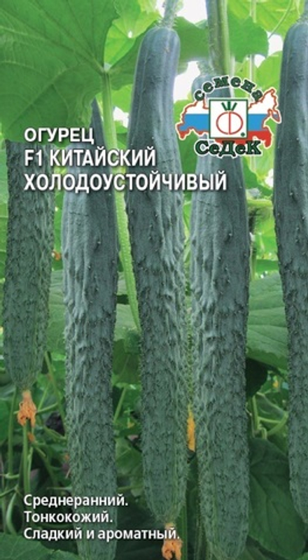 Огурец Китайский Холодоустойчивый F1 Седек