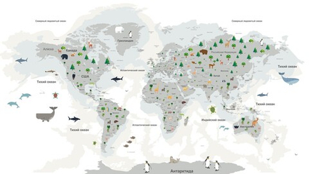 Карта мира №30