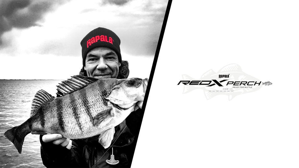 Спиннинг для рыбалки Rapala Redx Perch Spinning, 2pcs