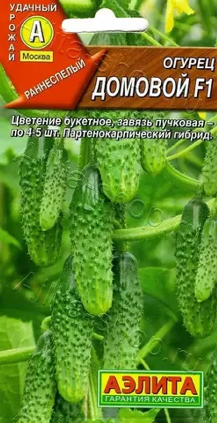 Огурец Домовой 10шт Ц Аэлита