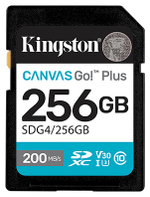 Карта памяти Kingston Secure Digital XC SDG4/256GB 256 Гб