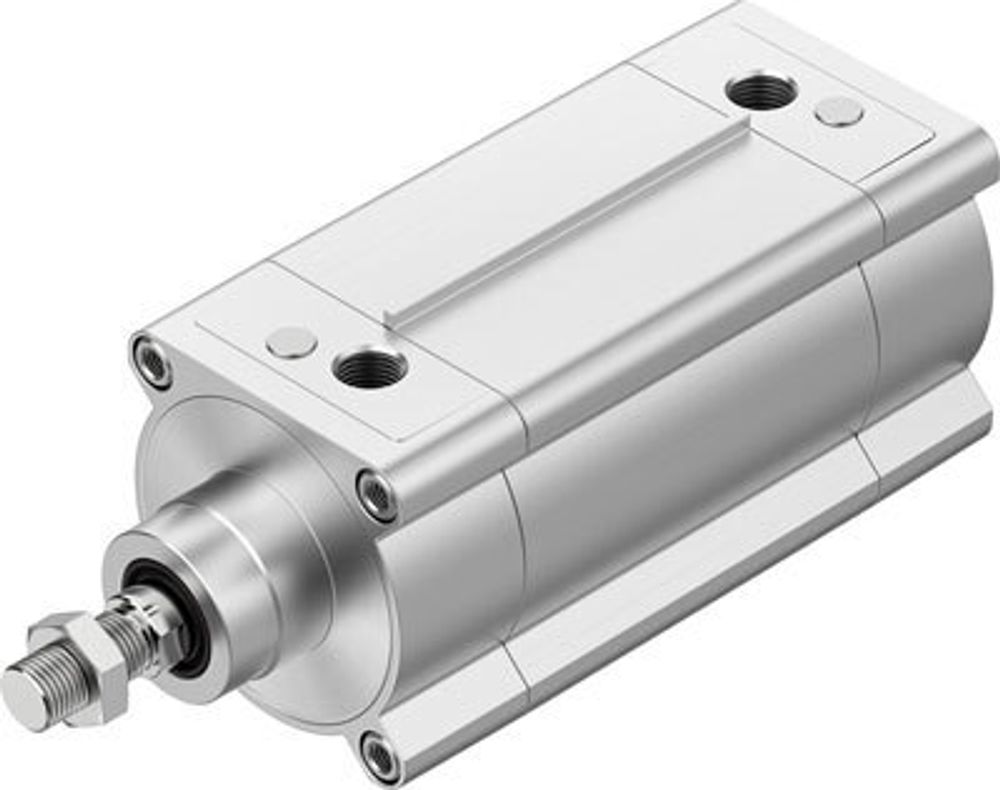 DSBF-C-100-100-PPSA-N3-R Стандартный цилиндр