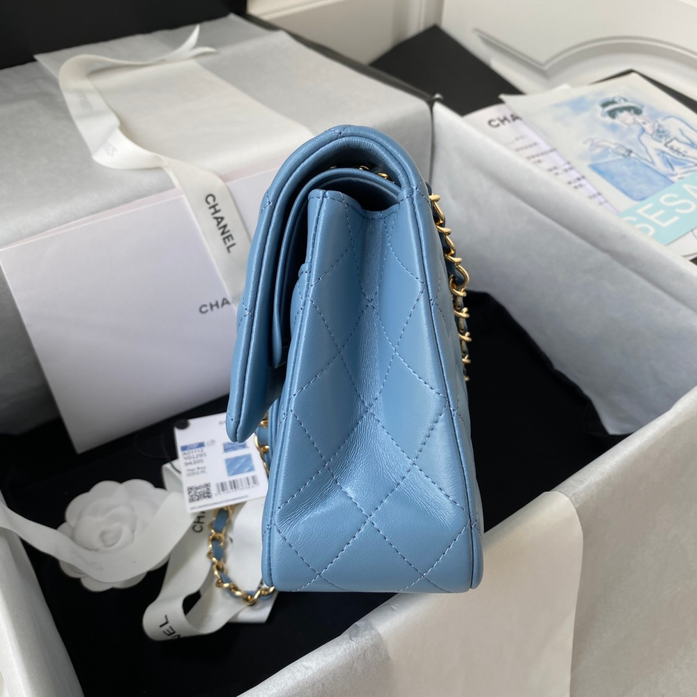 Chane1 Classic Flap Bag 25 cm