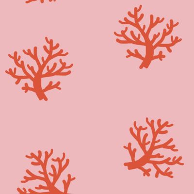 Кораллы на розовом фоне