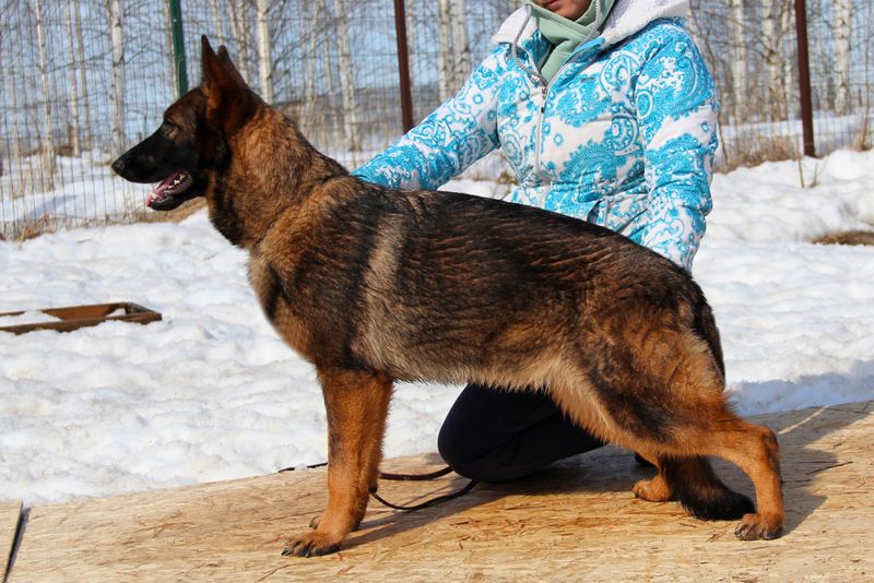 ЖАННА Из Поместья Боговик