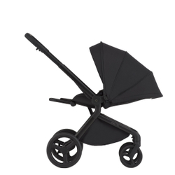 Anex Детская коляска Flo 2 в 1 Lungo