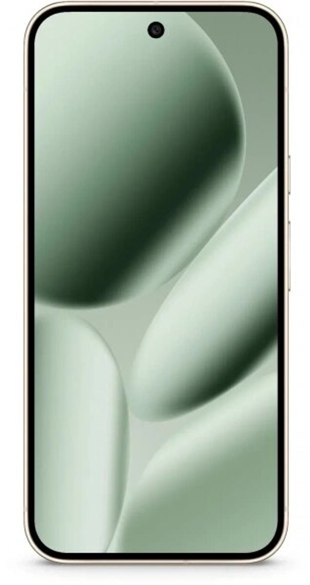 Смартфон Google Pixel 10 Pro 16/256GB, Jade (CA/GB)