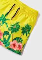 купальные шорты