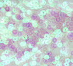 ПП001ДС5 Пайетки круглые плоские, белый прозрачный (с перламутровым AB), размер: 5 мм, 10 грамм