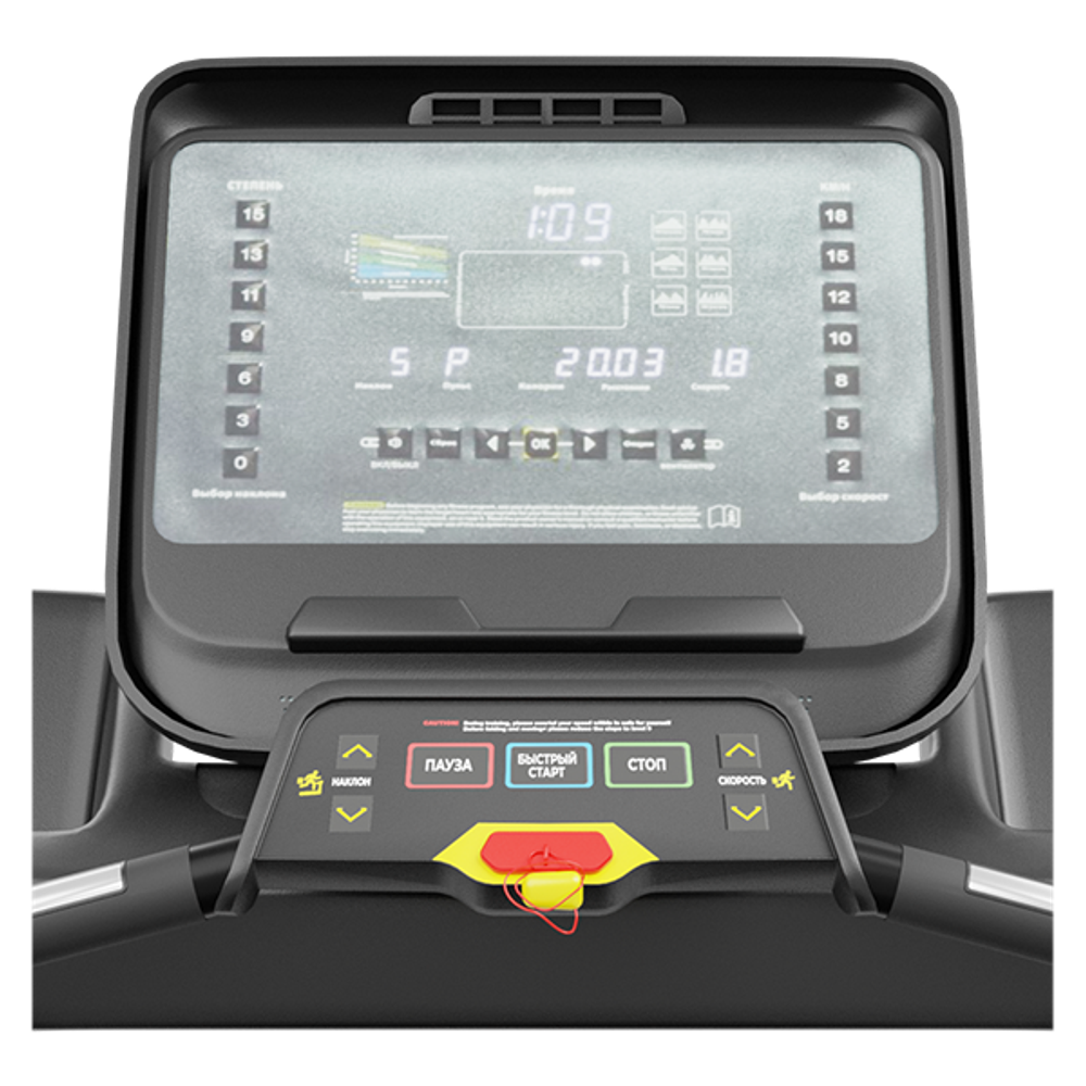 Беговая дорожка CardioPower PRO CT230