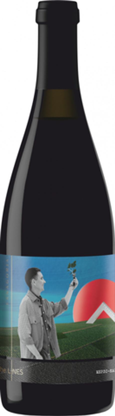 Вино Линия Мерло-Каберне