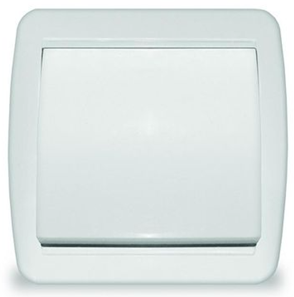 Выключатель одноклавишный наружный Клио Союз10А IP44 - К2221