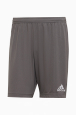 Шорты adidas Entrada 22