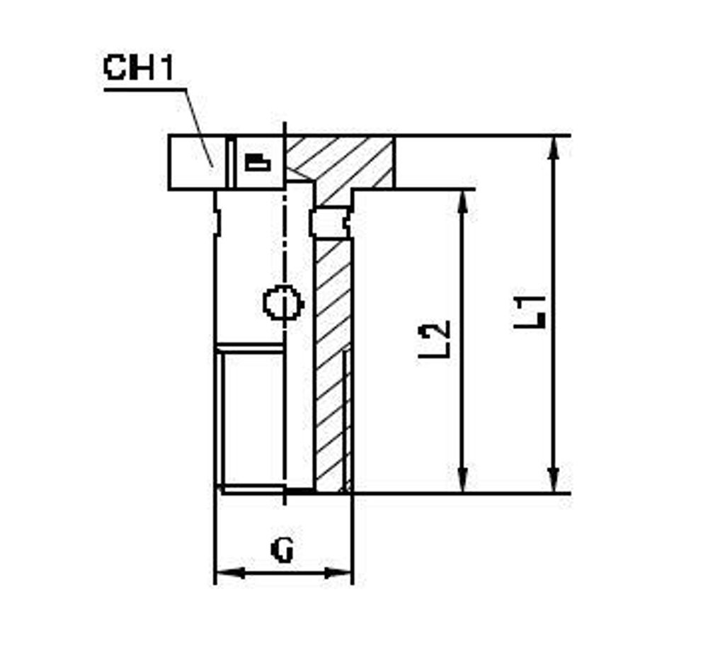 Фитинг BANJO BOLT G3/4