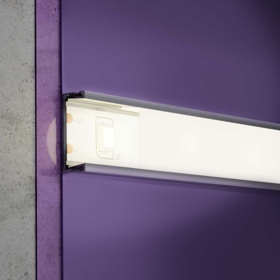 Светодиодная лента Standard Maytoni Led Strip 10102