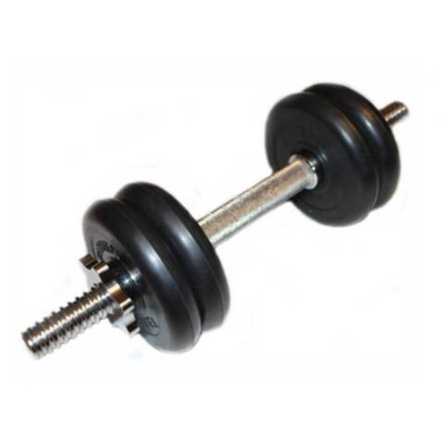 Гантель разборная 12 кг (диски по 2.5 кг)