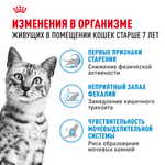 Royal Canin Indoor 7+ Индор Корм сухой сбалансированный для стареющих кошек в возрасте от 7 до 12 лет живущих в помещении 400г