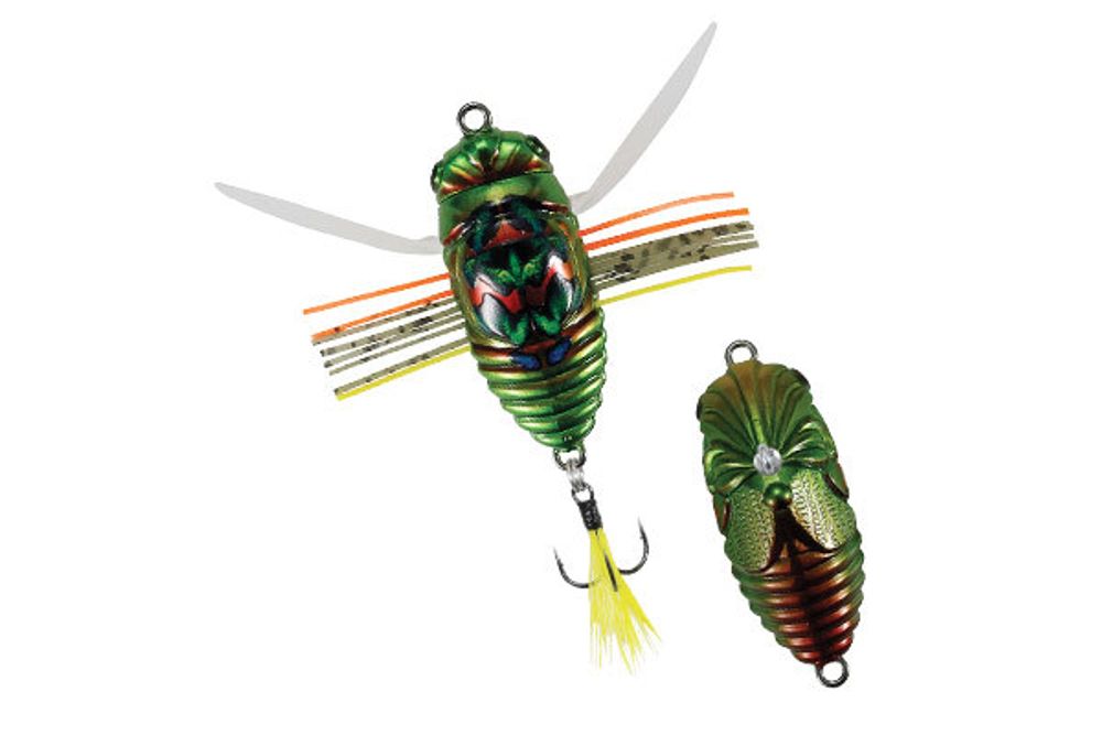 Жук DUO REALIS SHINMUSHI CCC3218