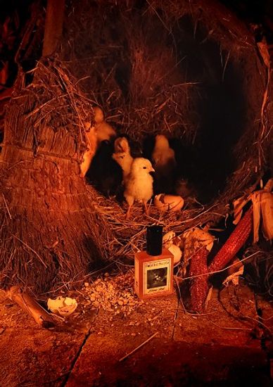 Solstice Scents Estate Barn