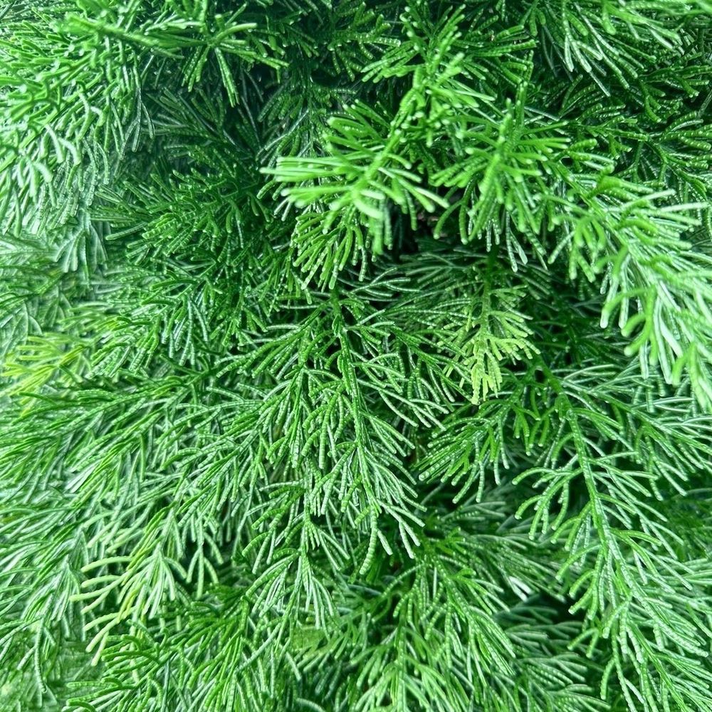 Туя искусственная (Литая хвоя) 230 см / 2,3 м