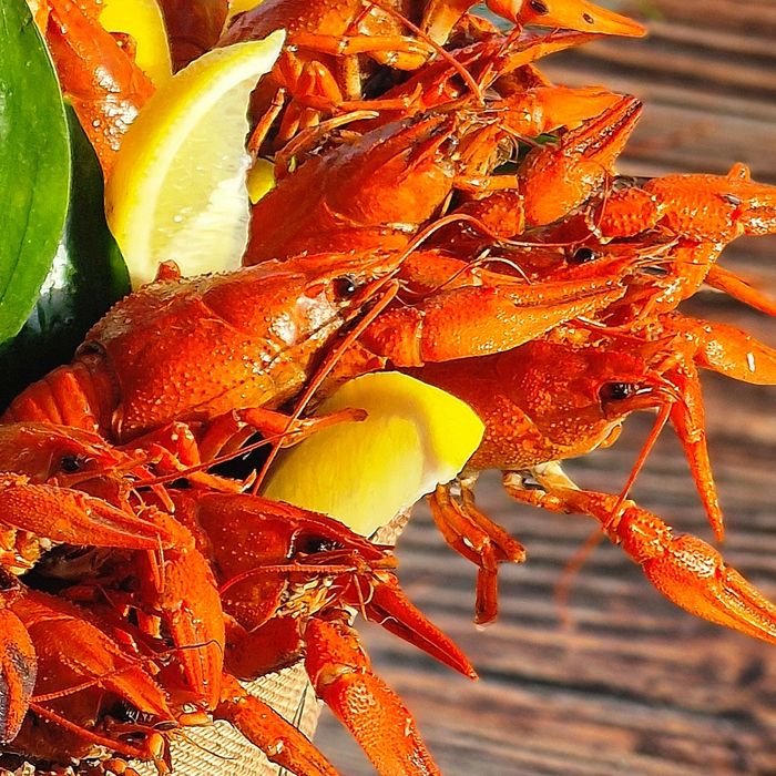 Букет Раки в Ведре