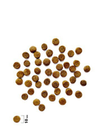 Сухой корм для взрослых кошек с белой рыбой и индейкой Cat Anti-Hairball BRIT CARE 0,4кг