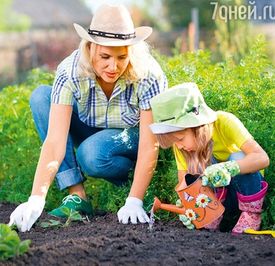 Какие цветы высаживать в июне?