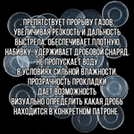 Комплект Пыж-контейнер"Барс-1"+ ПРОКЛАДКА/12 калибр, уп100+100шт (СКВ-ШАХ)