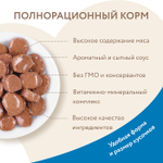 Влажный корм для красивой шерсти кошек Мнямс на каждый день кусочки в соусе с форелью 85г 24 шт
