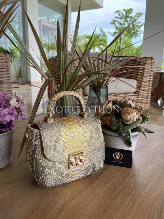 Сумка из кожи питона BG-444