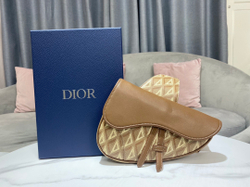 Christian Dior Saddle 26 cm