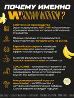 Комплекс протеин + креатин Soul Way
