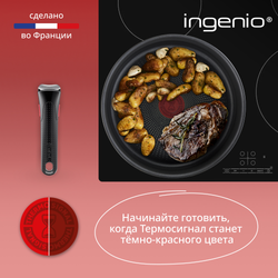Набор посуды со съемной ручкой Tefal Ingenio Daily Chef Black 5 предметов 16/20/24/28 см L7629102