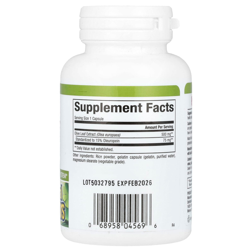 Natural Factors, HerbalFactors, листья оливкового дерева, 500 мг, 60 капсул